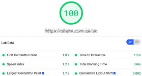 Fake PageSpeed Insights