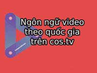 ngôn ngữ video costv